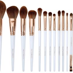 Makeup Brush Set 12 or 14 Pieces Professional Makeup Tool Set Premium Synthetic Foundation Contour Blush with Magnetic Absorption Nano Case