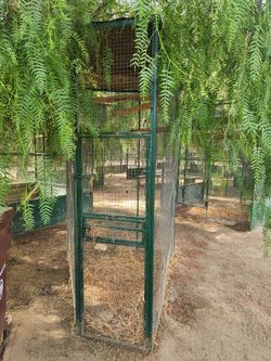 Aviary cage/ jaula para pajaros/cacatuas/palomas
