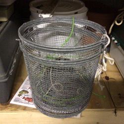 Minnow Trap