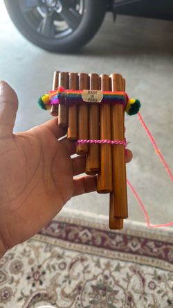 MUSIC INSTRUMENT