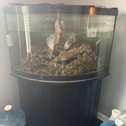 54 Gallon Corner Style Aquarium