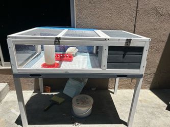 Quail Enclosure