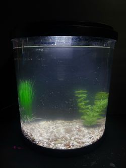 3.5 Gallon Fish tank