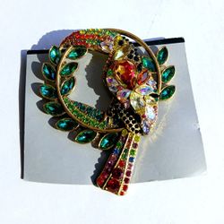 Parrot Broach 
