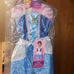 Cinderella Costume