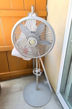 Fan