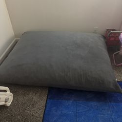 Sealy XL Bean Bag