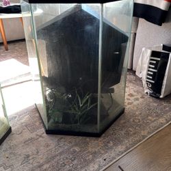 Fish Tanks For Sale
