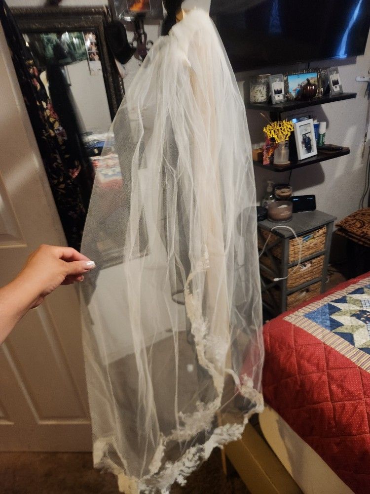 Brides Wedding veil.