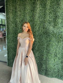 Rose Gold Dress