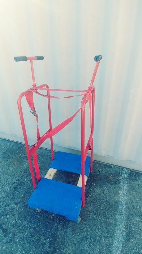 The Chusa Dolly
