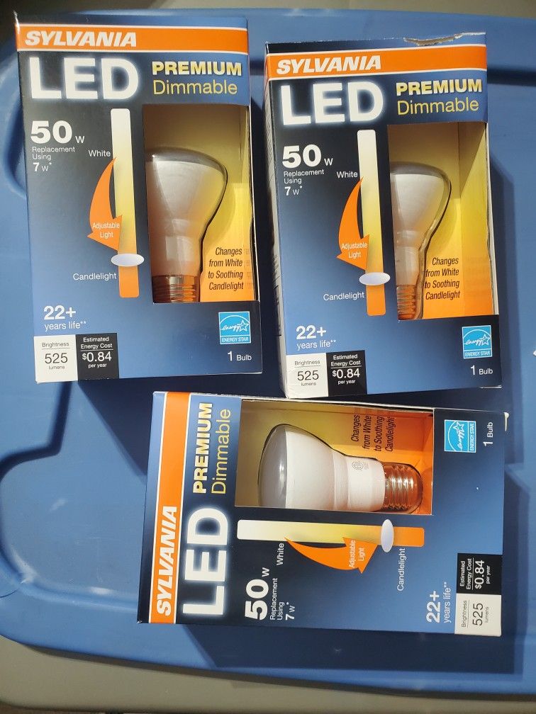 20R Led Bubs