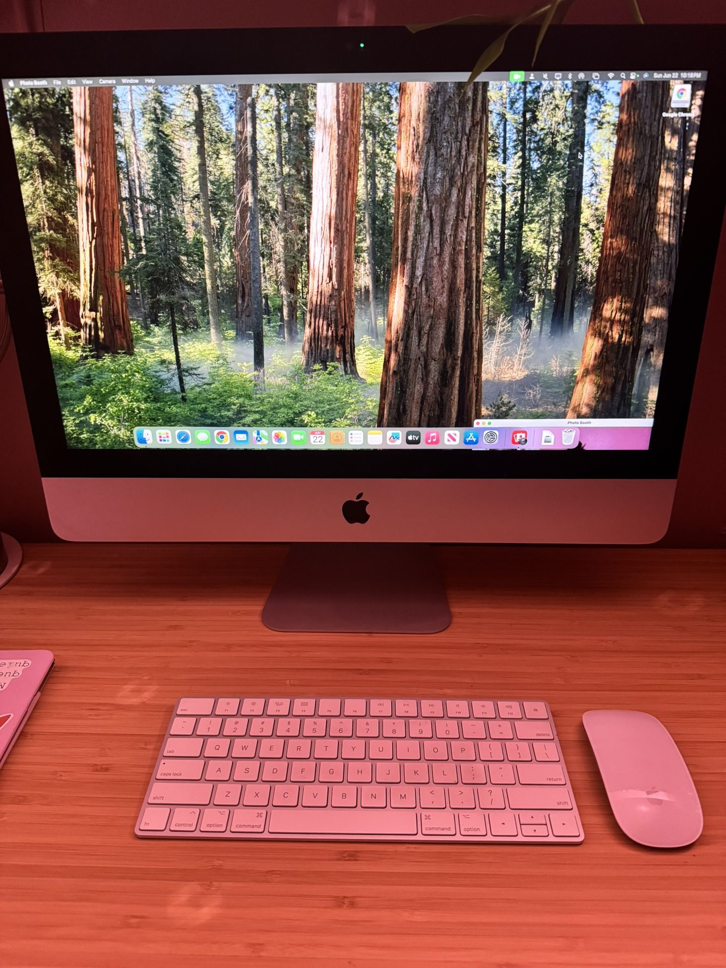 21.5” Retina 4k iMac Monitor