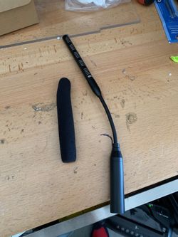 Panoramic microphone