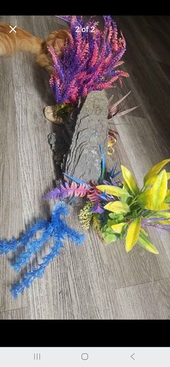 Aquarium decorations