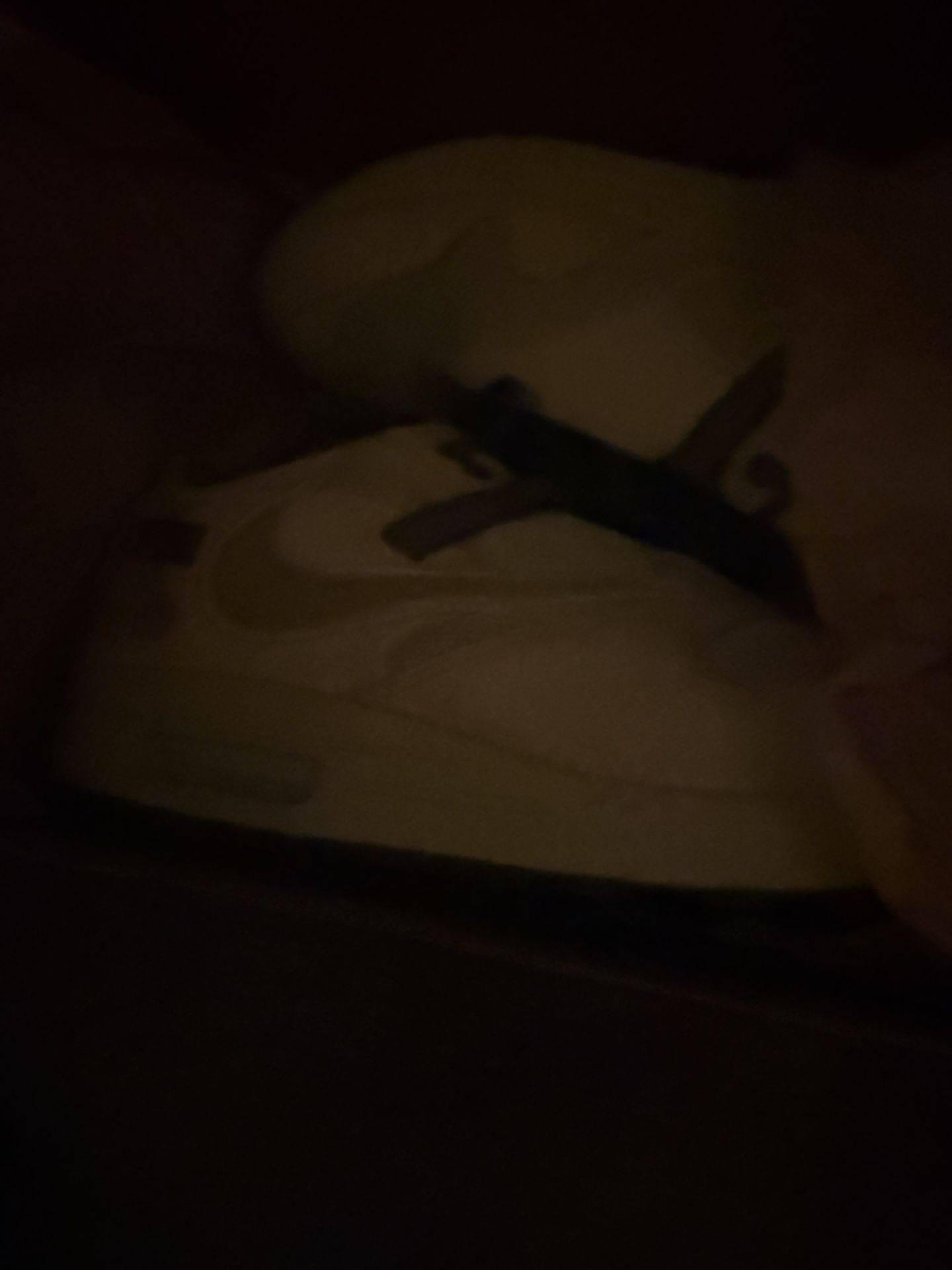 Travis Scott Saturn Air Max And Jordan’s Sz 11