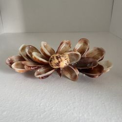 Handmade Sea Shell Hair Clip