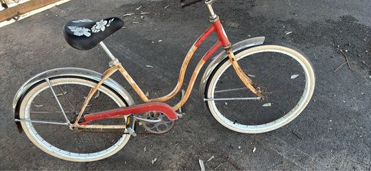 Schwinn 24”