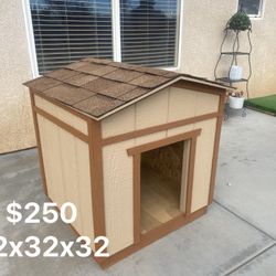 Dog House And Shed 