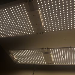Grow Lights LM301H 480W 2x