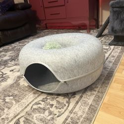 Cats Tunnel