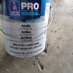 1 Gallon Pro Industrial Paint 