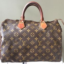LV Speedy Bag