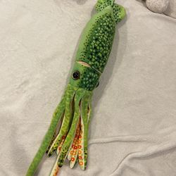 Squid