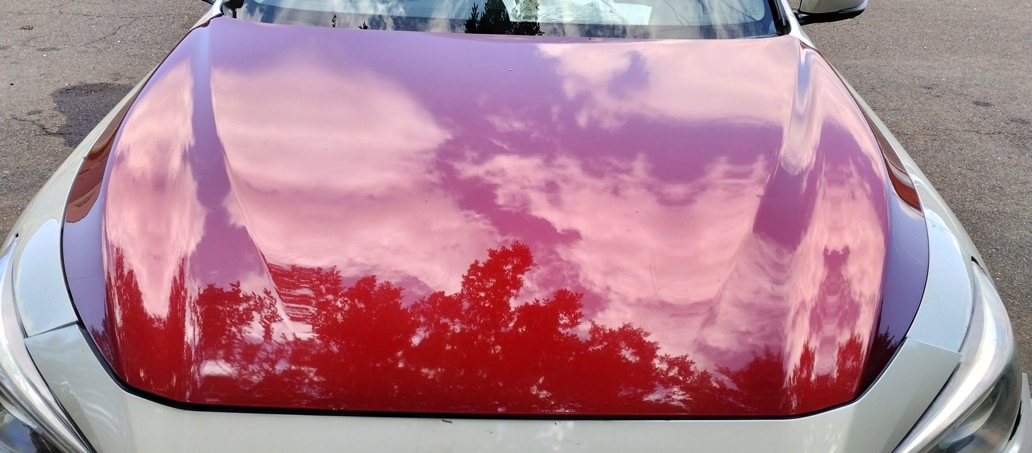 2014-2017 Infiniti Q50 Hood in Beautiful Red Color. HOOD ONLY.