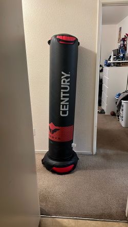 Stand Up Punching Bag