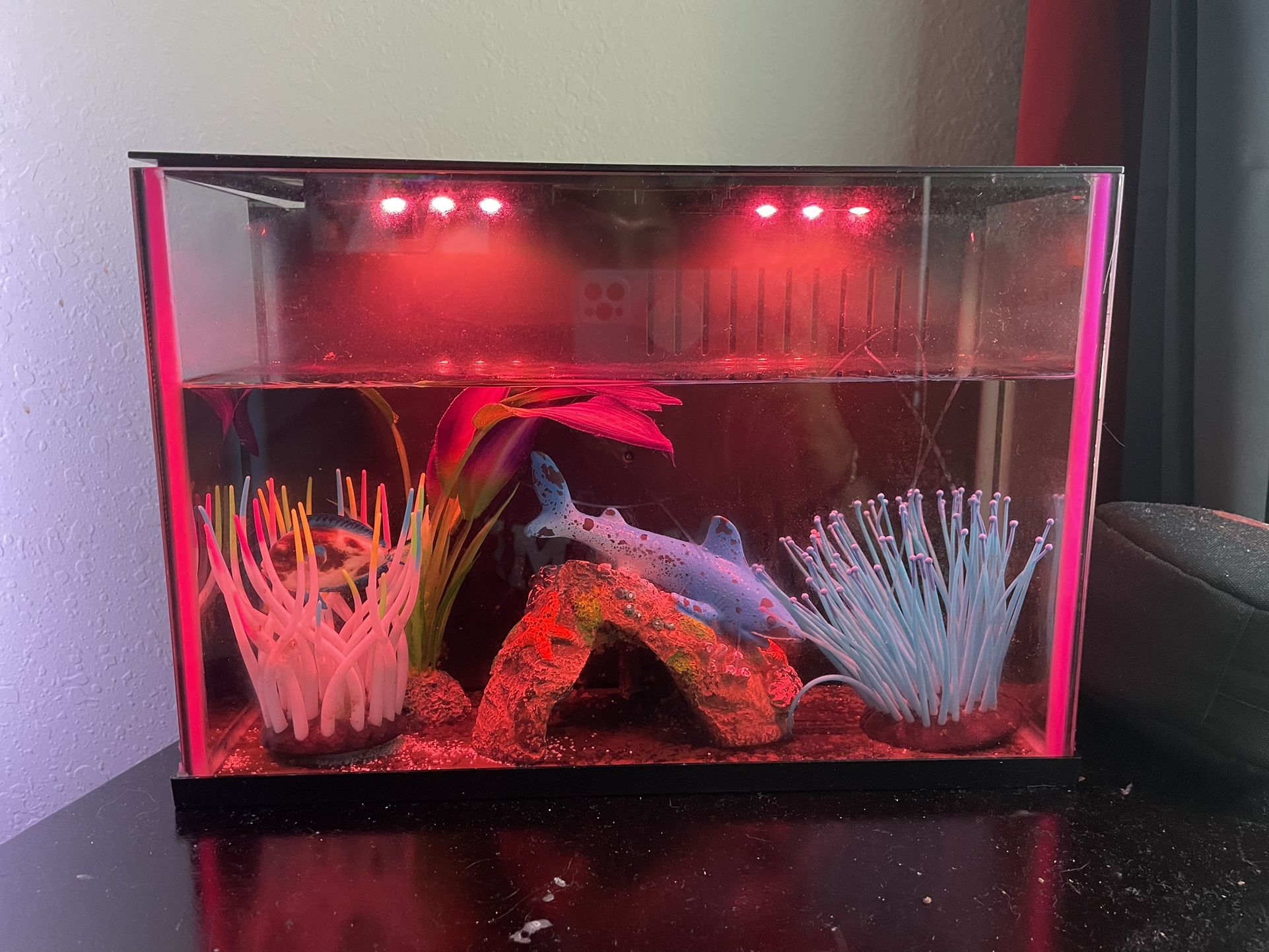 fish tank 