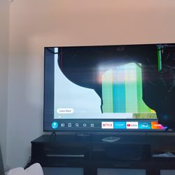 INSIGNIA DTS TV MODEL NS-75F501NA25