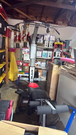 Bowflex Blaze Home Gym