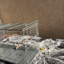 Bird Cage