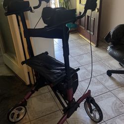 Tall Stand Up Walker 