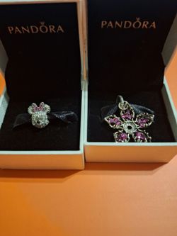 Pandora Charms