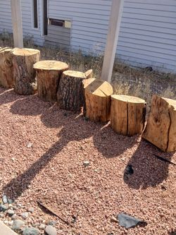 Firewood