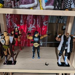 WWE action figures