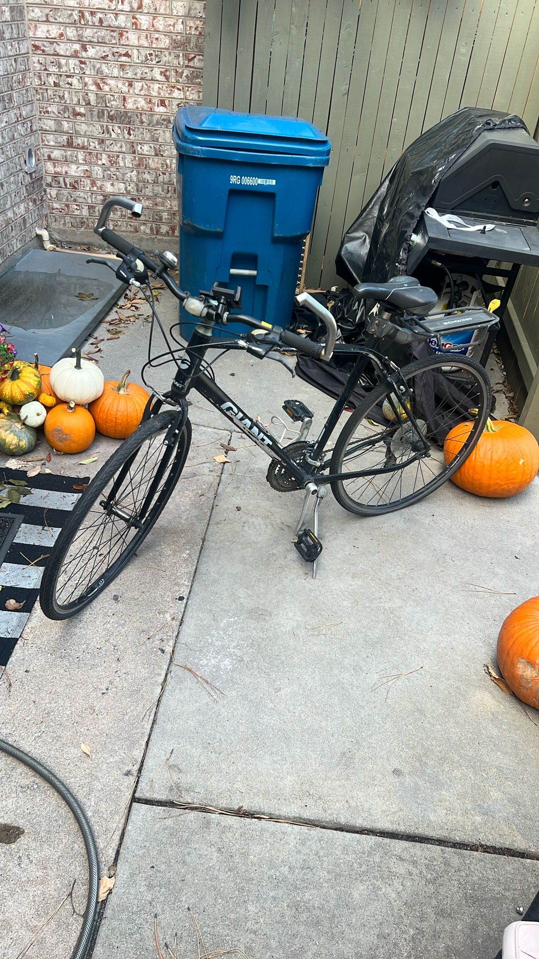 Giant Escape 3 bicycle