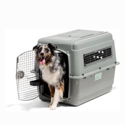 Pet Mate Sky Kennel - 36”, 50-70lbs. Dogs 