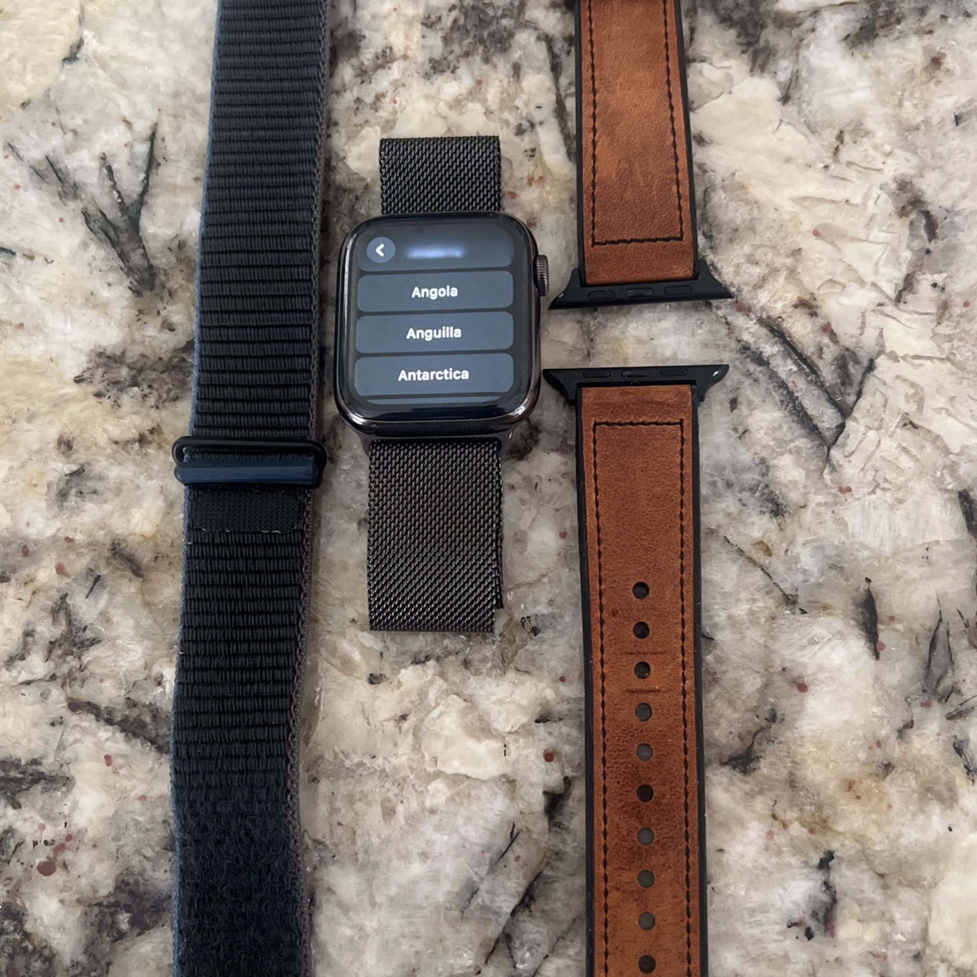 Apple Watch Stainless Steel Graphite Color
