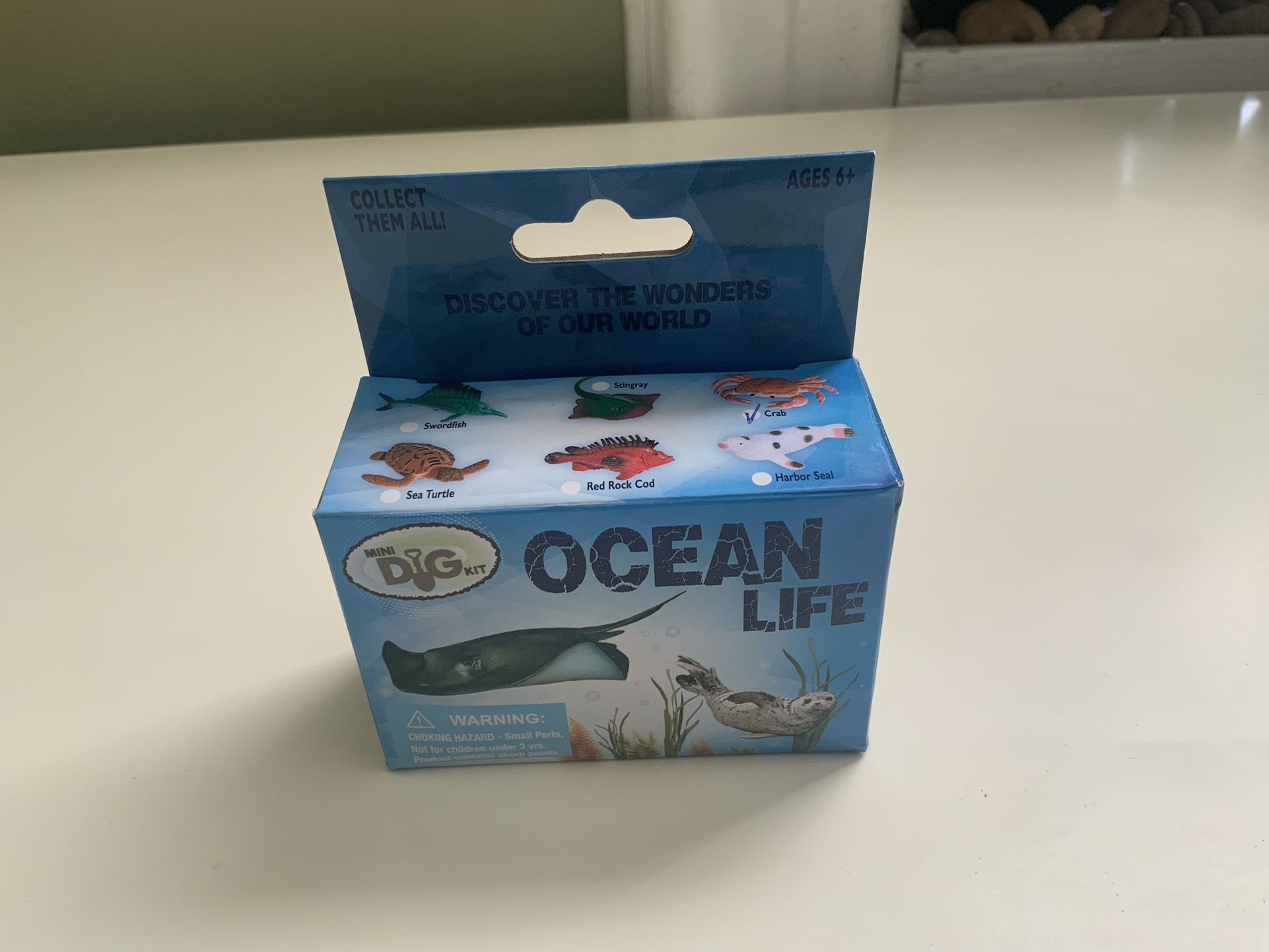 Ocean Life Kit