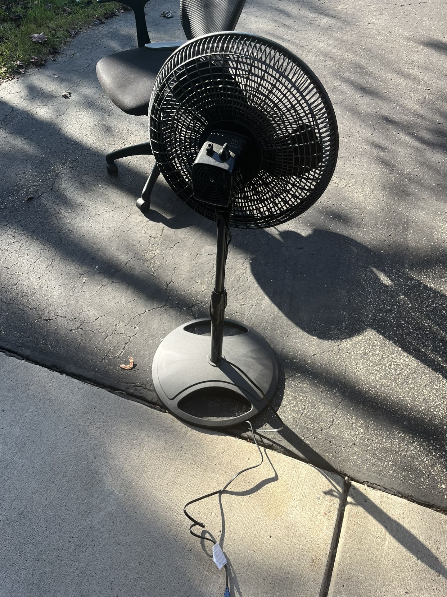 Black Standing Oscillating Fan