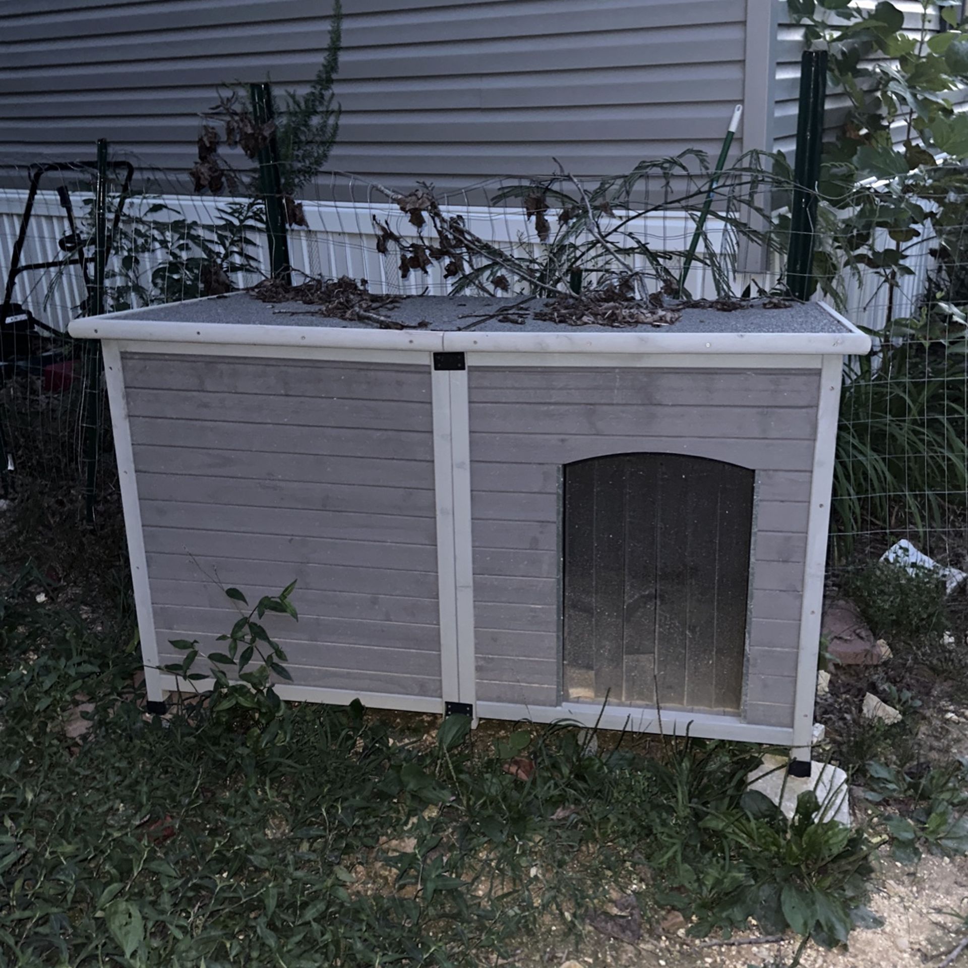 Dog House
