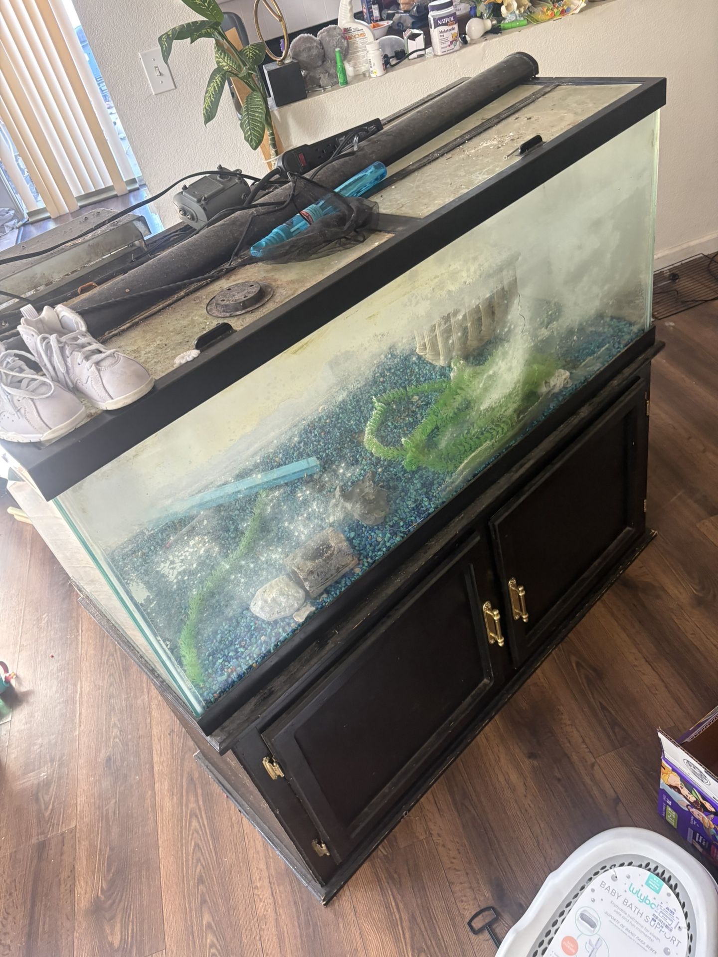 Fish Tank