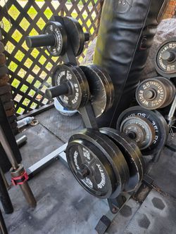 Weight Olympic Plates set with tree