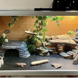 4x2x2 „Zen Habitat“ Reptile Enclosure Plus Accessories 