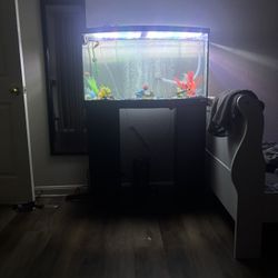 Three Tanks For Sale Two Fish Tanks, One Reptile Tank