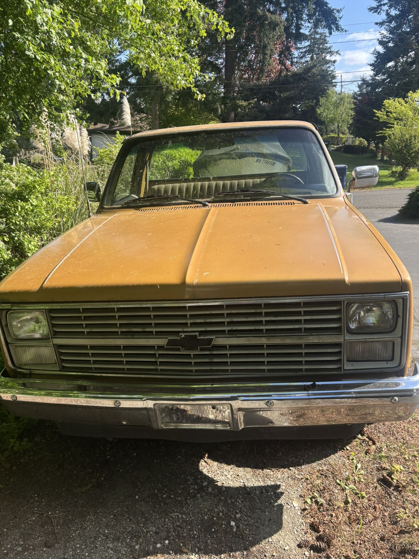 1984 Chevy Custom Deluxe