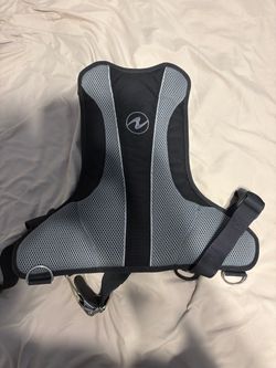 Aqua Lung Rogue Backplate– Medium – Like New